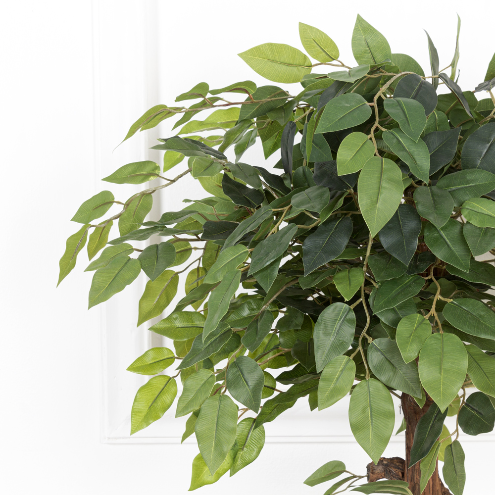 БЛ055/09М Бонсай лиственный Фикус франц.зеленый(латекс) в пластиковом кашпо h55см_5