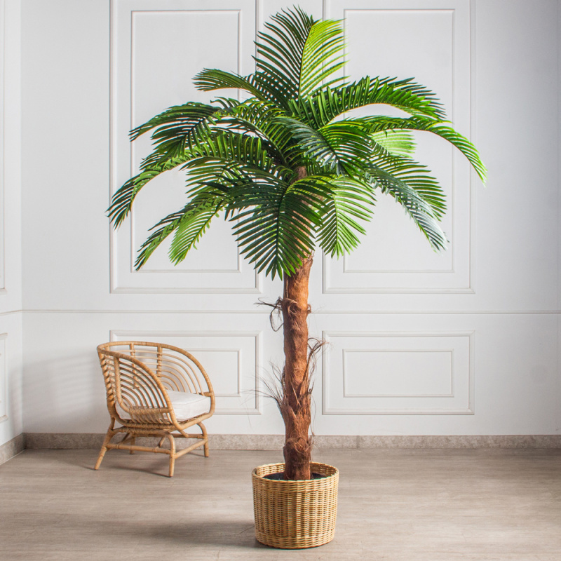 ПС200/БР/49Прем(з)(Пр)(F) Пальма Арека искусственная h200см(латекс)