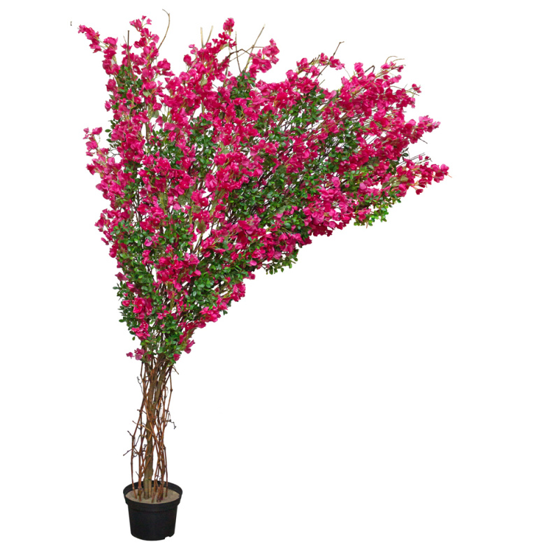 250Пр/РН/434(з.) Бугенвилле́я искусственная, h250см