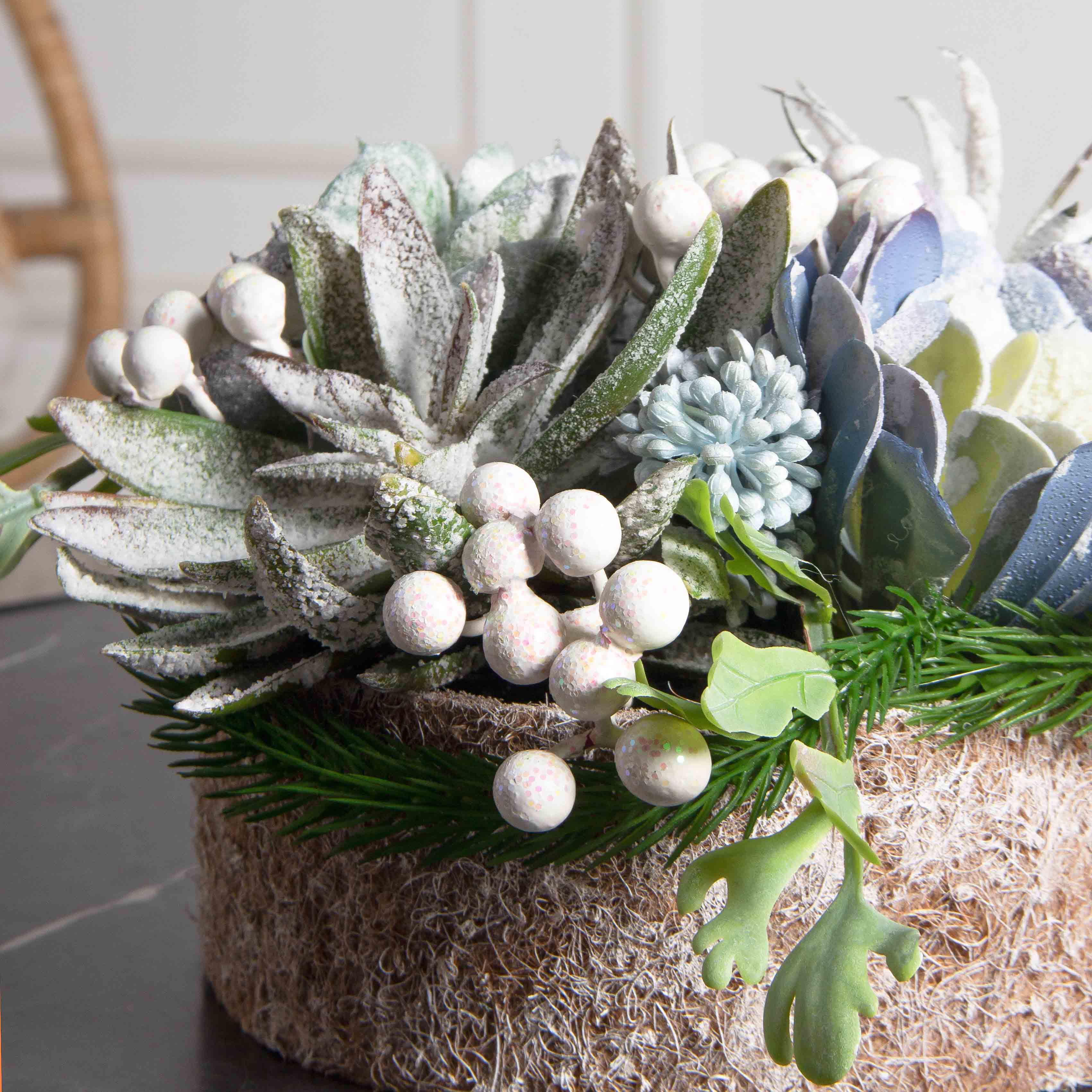 СКК08-1(з)(F) Суккуленты НГ в круглом забеленном кокосовом боксе d20см_4