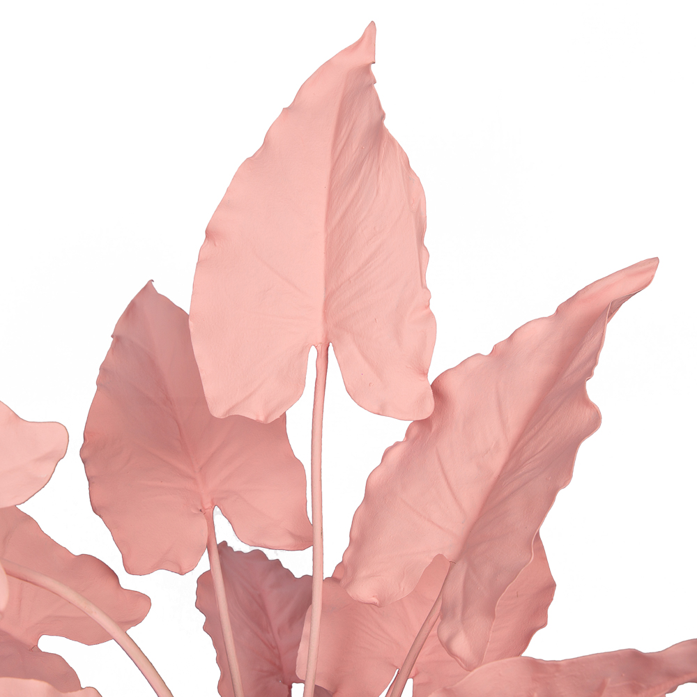 К55*2-1 Каладиум куст (розовый) h55см(силикон) в интерьерном кашпо d17см_3