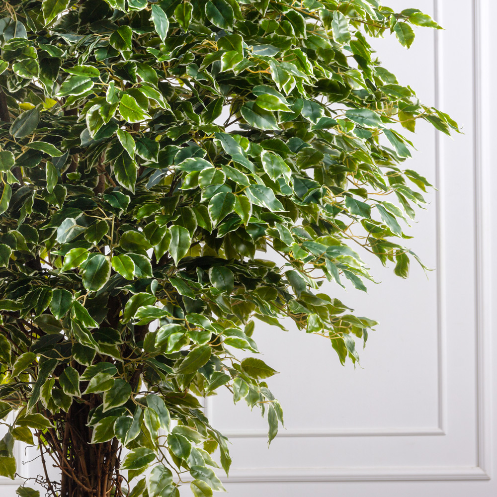 240/ССТК/466(F) Фикус Бенджамина искусственный h240см_1