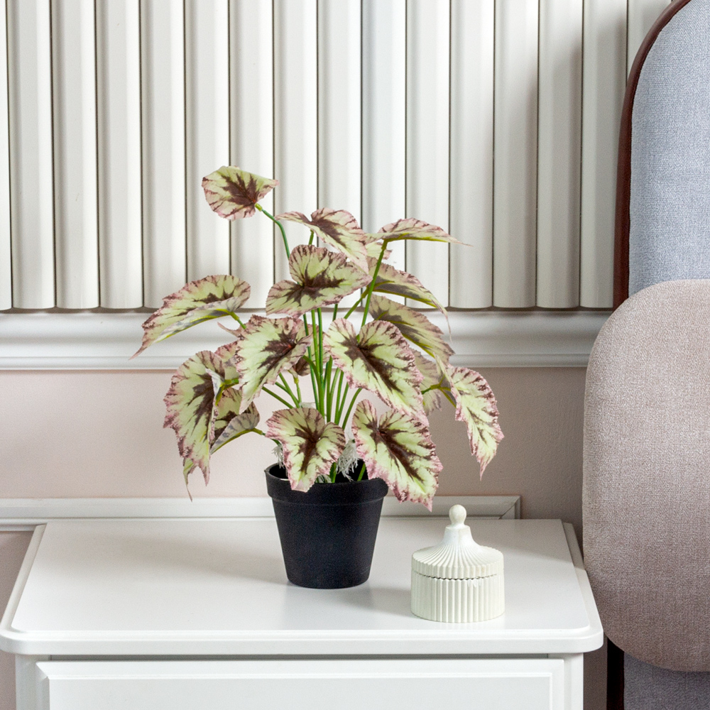 ЦС211-2(F) Бегония искусственная бело-бордовая_2