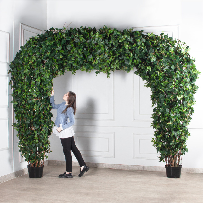 АРК07-2(з)(F) Арка с искусственным сциндапсусом h293, L352, разборная_1