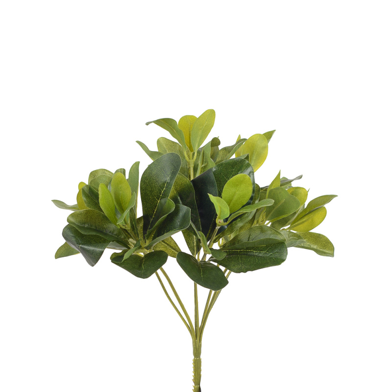 7143/0411-9 куст Питтоспорума зеленый (латекс) h=22см (15+7)