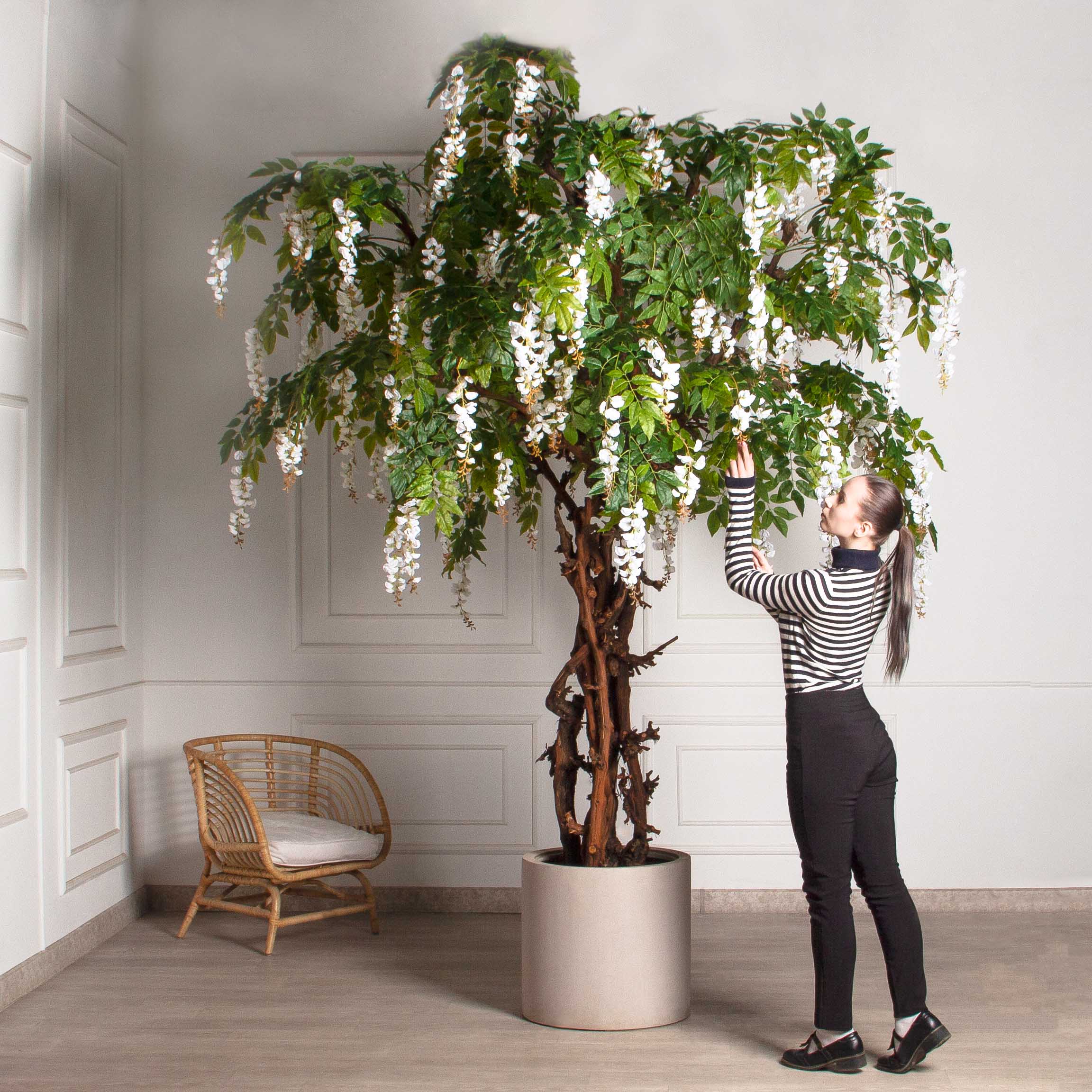 280/ОС/ПС/424(Пр)(F) Глициния(вистерия) искусственная h280см (латекс), белая_2