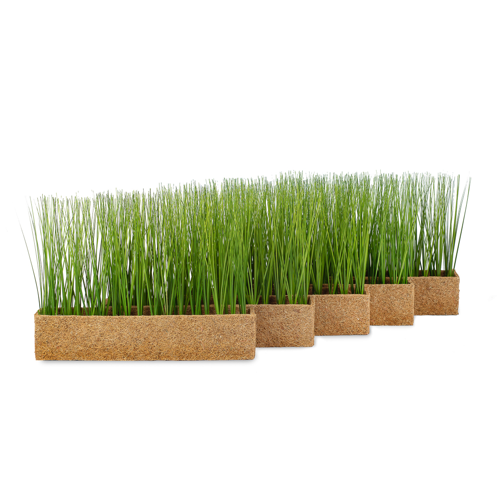 Т009 Трава h27 в кокосовом боксе (зеленая)50*10*10_1_3
