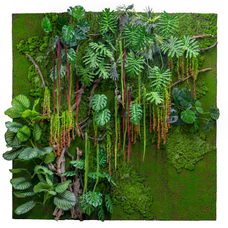 Фитостена 88 Рельеф с тропич.растениями