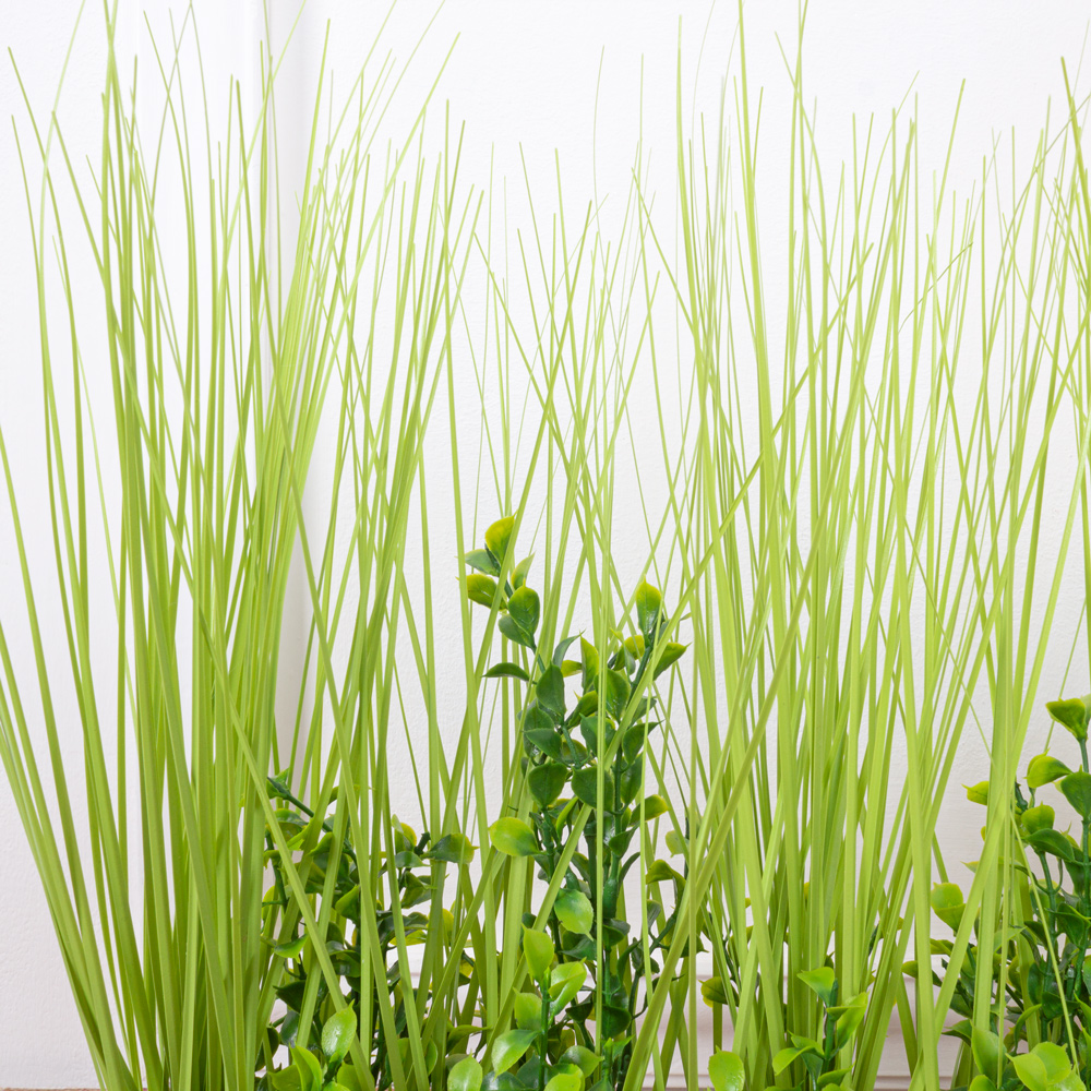 Т0255(з.) Трава искусственная Осока с самшитом h28см в кокосовом боксе 50х8х8см_3