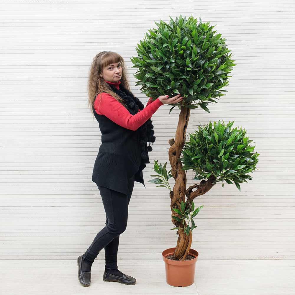 БЛ 180/ОС/2К/27М(з) Лавр (латекс) 180см_2