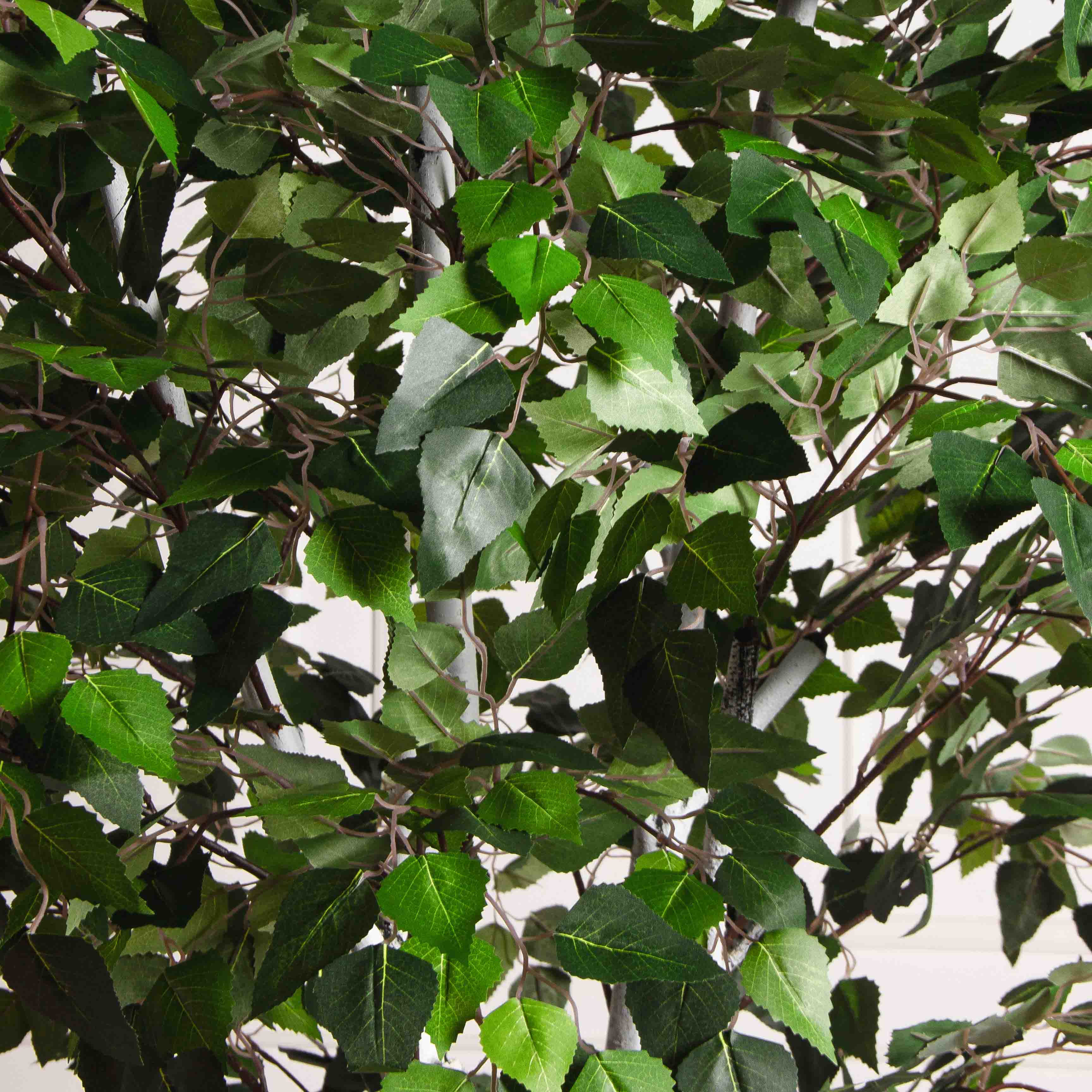 240/РН/12М-1(з)(F) Береза искусственная 2 ствола h240см_5