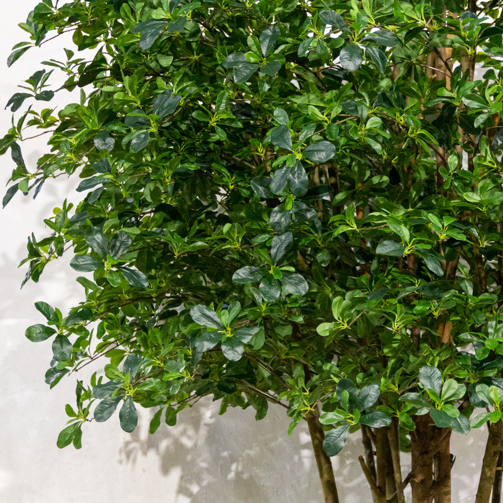 320/РН/84-6(з)(УУ)(Пр)(F) Шеффлера искусственная с подкустником h320см,латекс  _1