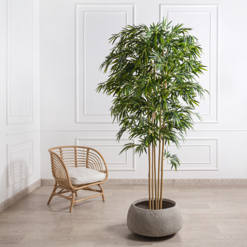 200/75/1-1(F) Бамбук искусственный 5 стволов, h200см (латекс премиум)