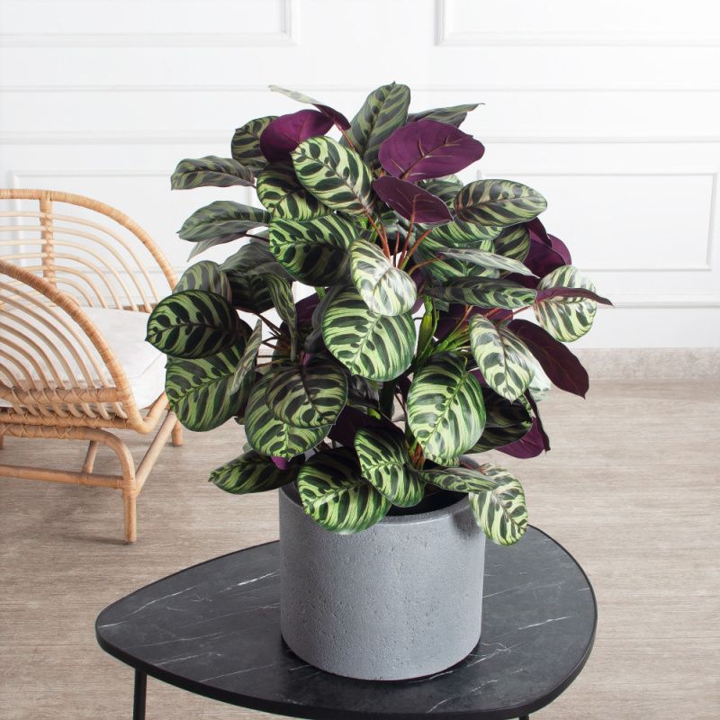 070/К/206(Пр)(F) Калатея искусственная h70см, зелено-фиолетовая_1