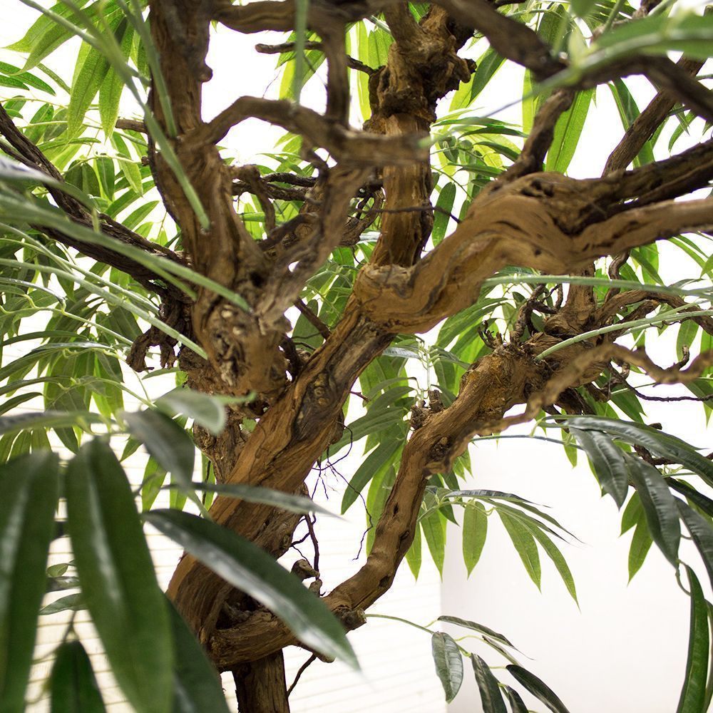 210/ОС/219 Лонгифолия h-210см (латекс)_2