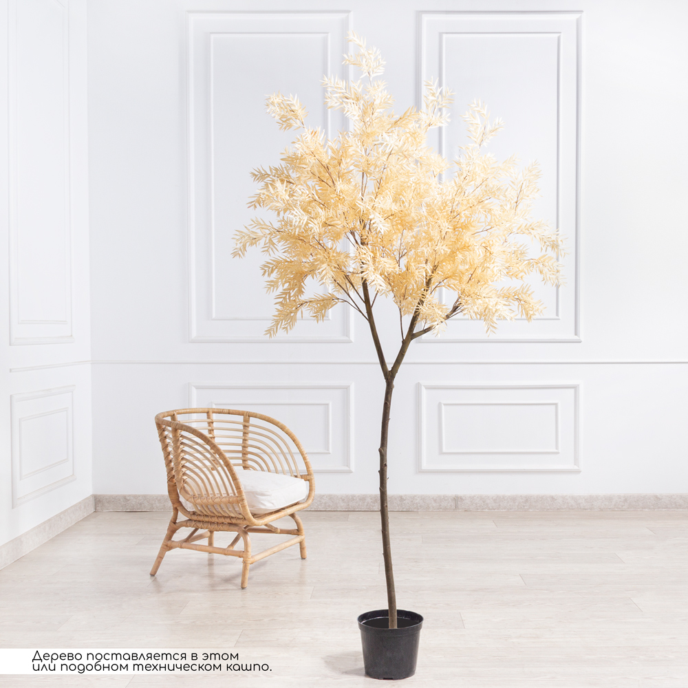 200/РН/488(з)(F) Альбиция  искусственная интерьерная h200см_1