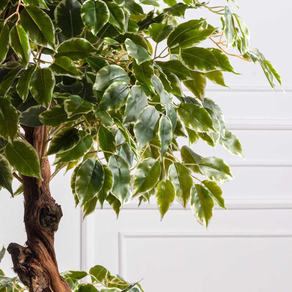 130/Я2/ОС/17М Фикус Бенджамина искусственный h130см (латекс)_2