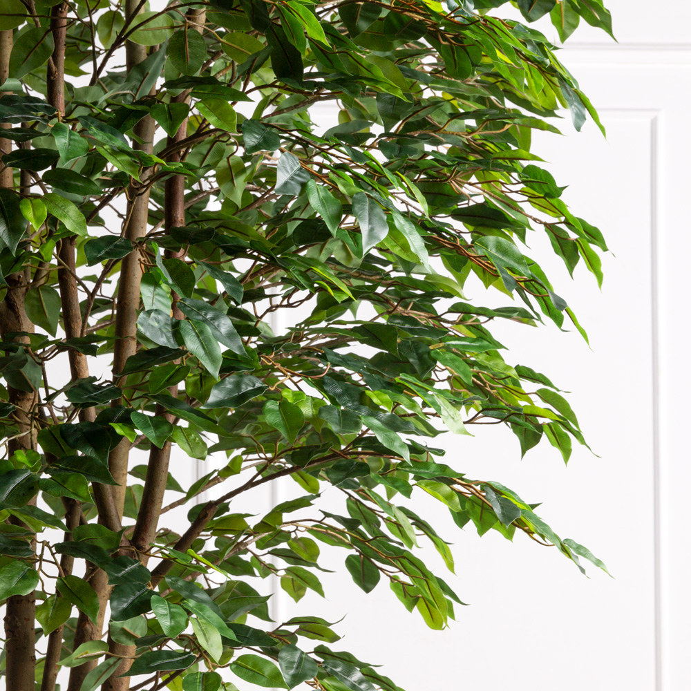 300/РН/34-3(з)(Пр)(F) Фикус искусственный h300см (латекс)_2