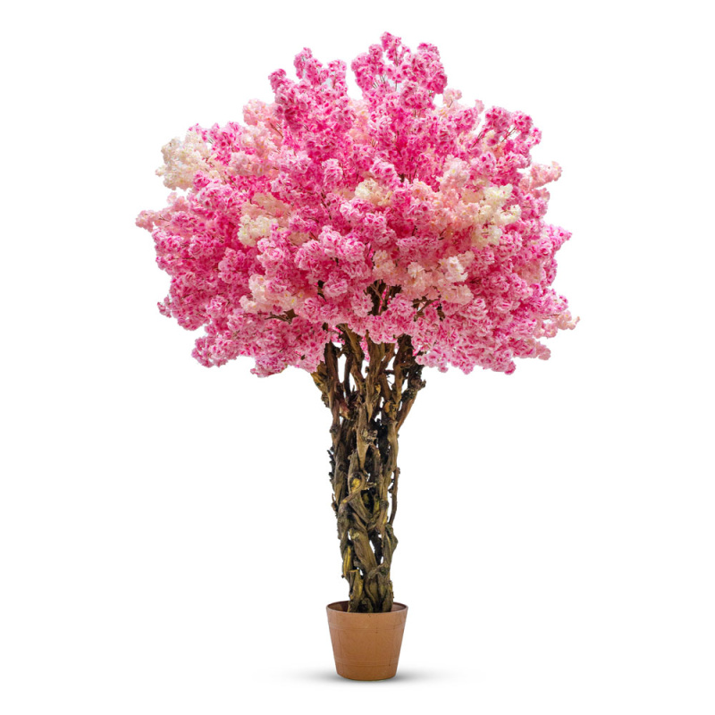 320/ОС/34(з.)Сакура h320см d220-250см