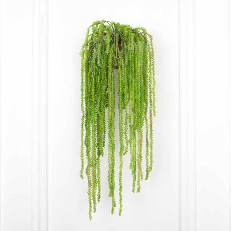 КС80 Мох-елочка Крассула ампельная(силикон) в кашпо d11см_6