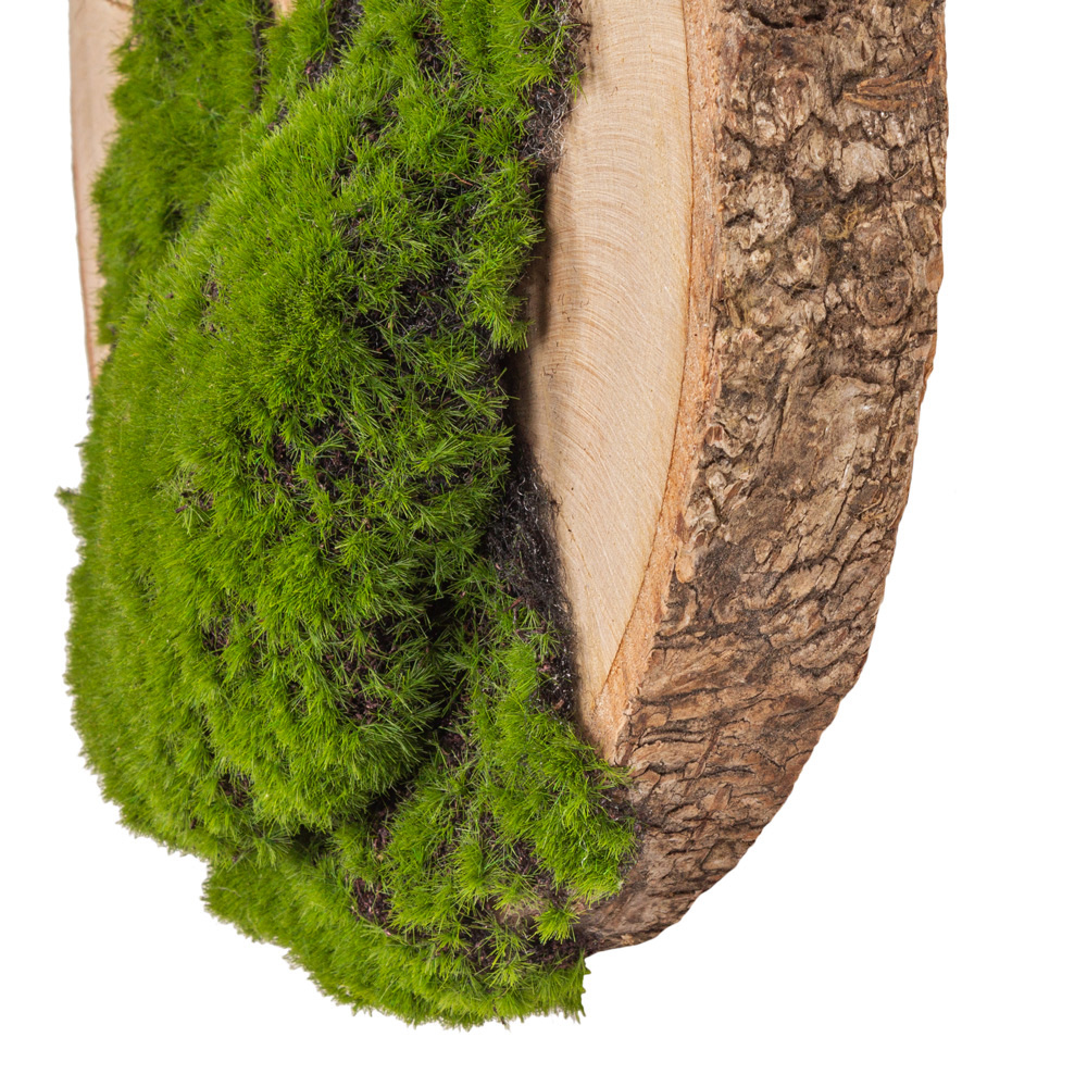 БК140/11 Композиция на березовом спиле d30-40см_2