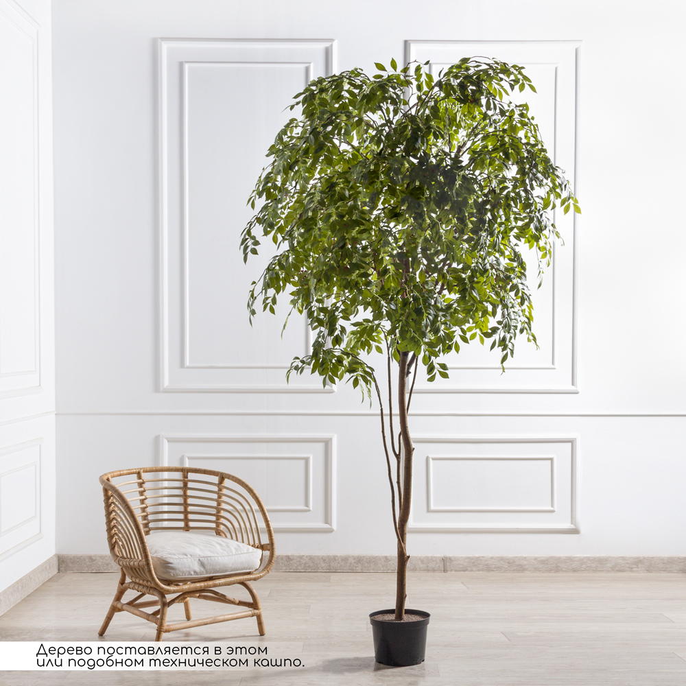 240/РН/605(Пр)(F) Мурайя искусственная  h240см_5