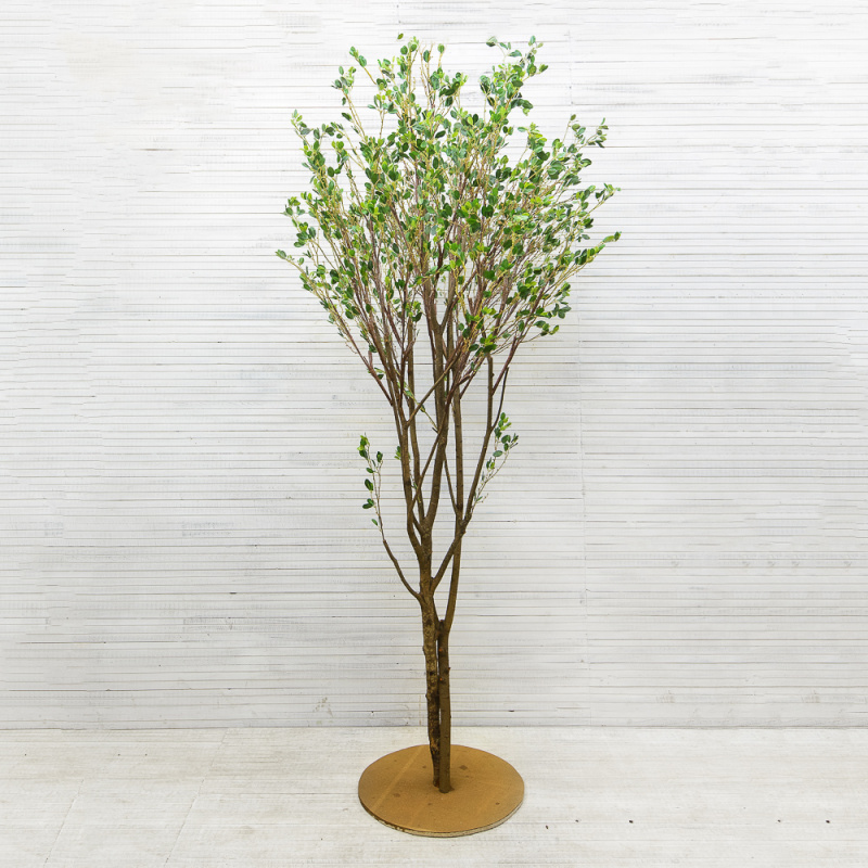 270/РН/200(з.) Дерево с распускающимися листочками h-270см