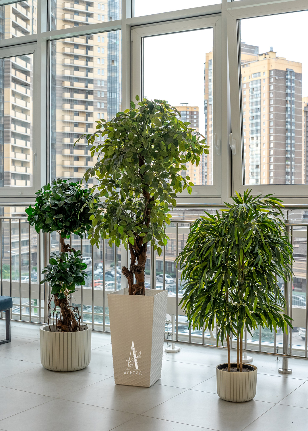 180/ОС/36 Фикус искусственный мелколистный h180см (латекс) в кашпо_5