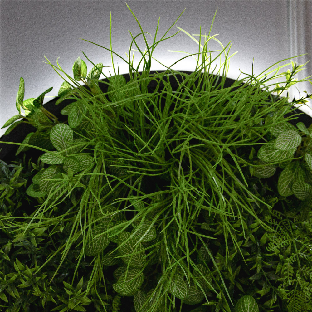 ФП05(F) Фитопанно искусственное с подсветкой d59см_3