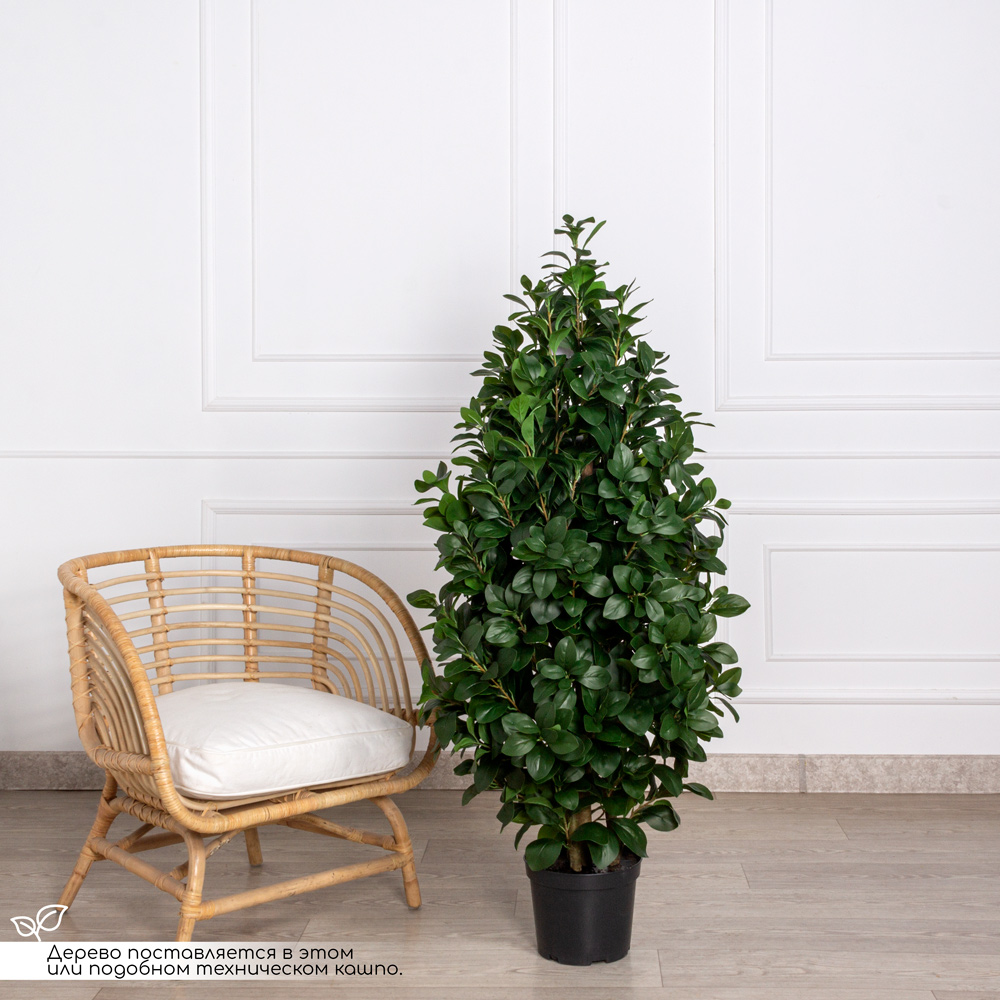 140/РН/64(з)(Пр) Рускус искусственный куст h140см, d50см(латекс)_1