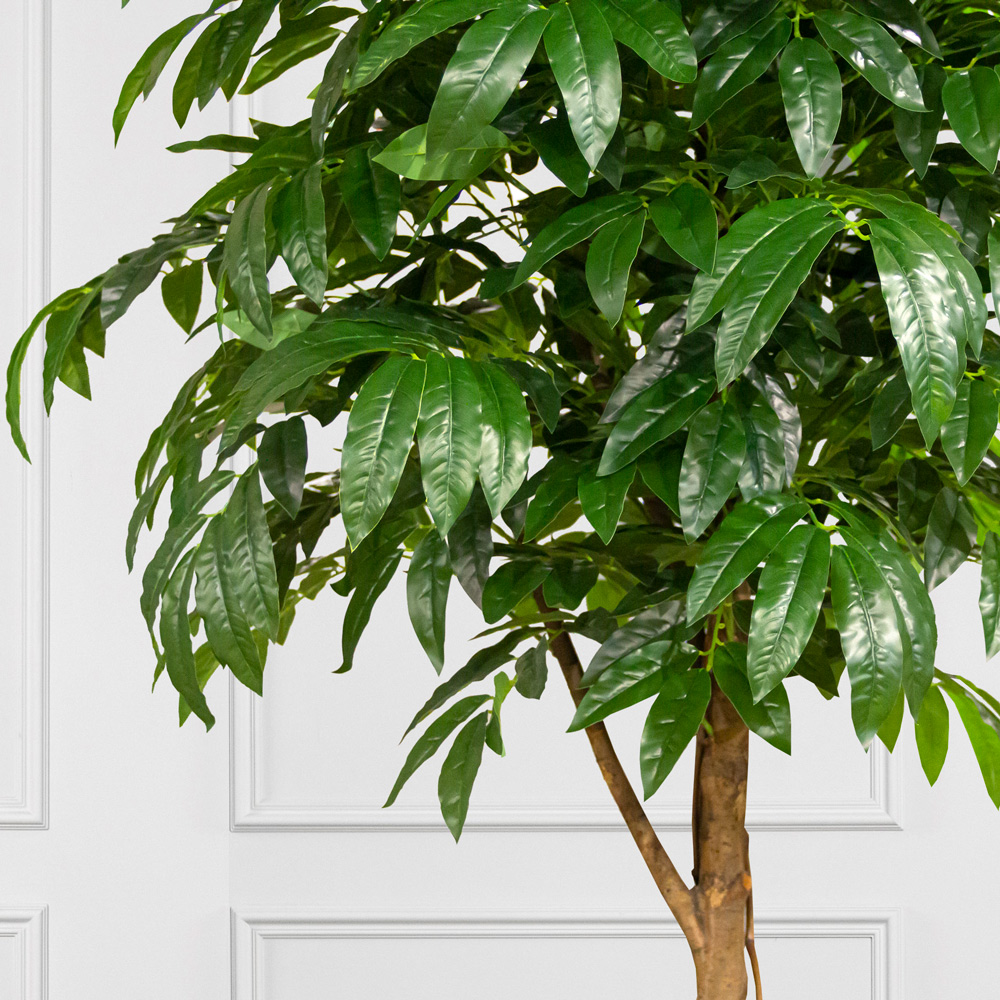 260/РН/220(з) Манго искусственное без плодов h260см (латекс)_4