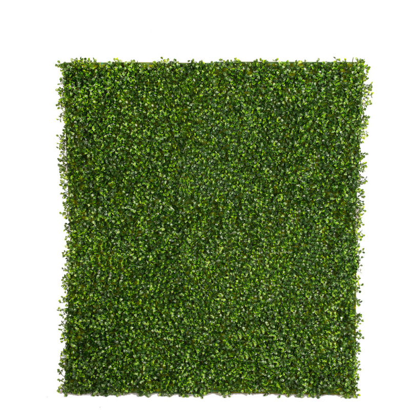 Фитостена 26(з.)