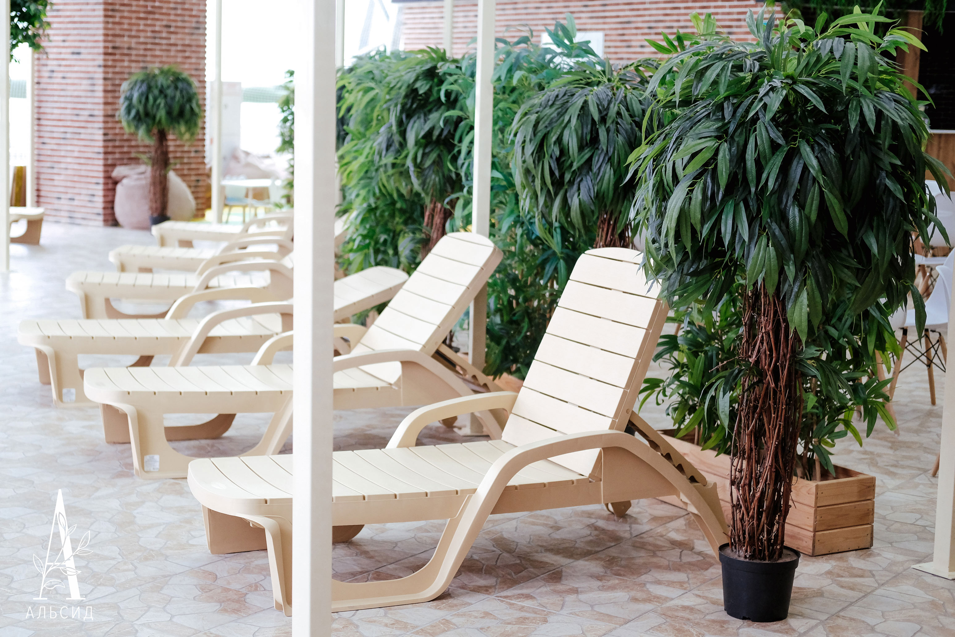 160/ССТК/ВП/219(Пр)(F) Лонгифолия искусственная h160см (латекс)_3