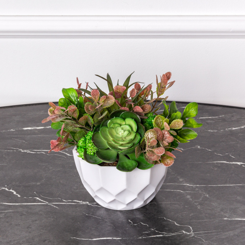 СКК06 Композиция из суккулентов h16см в интерьерном кашпо(зеленая)