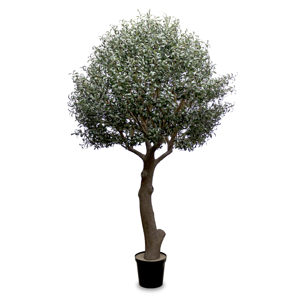 300разб/465(Fix) Оливковое дерево Премиум разборное h300см(h160см от пола до начала кроны)_7