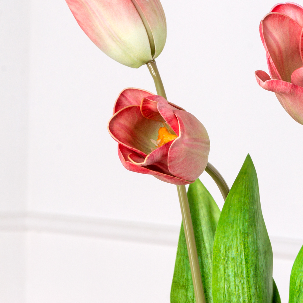 7141А/0471-01/11Р Тюльпан искусственный h70см, бело-бордовый (латекс) _2
