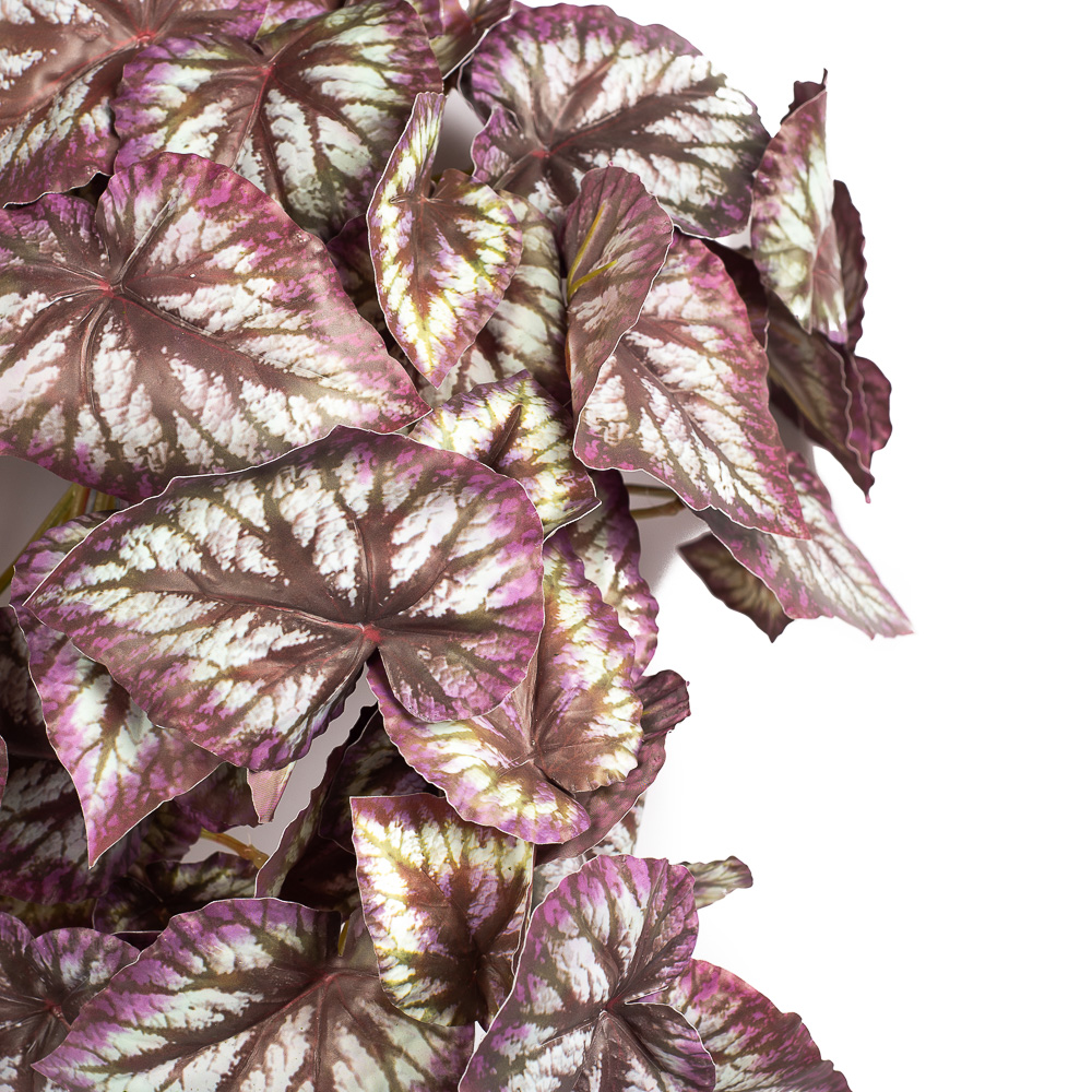 КС72-1 Бегония ампельная вишневая в кашпо_2