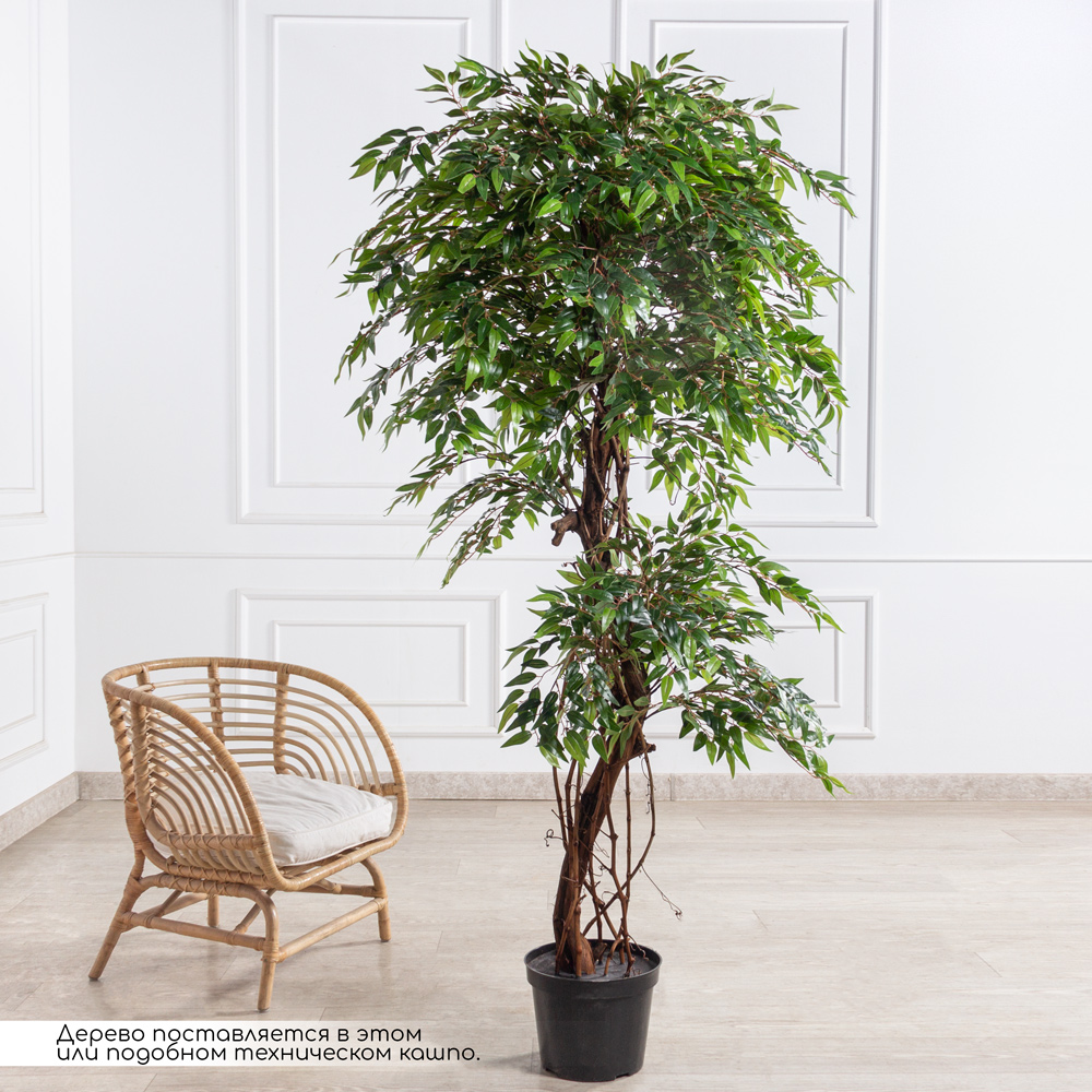 200/ОС/ВП/227(F) Фикус искусственный плакучаясмоковница h200см_1