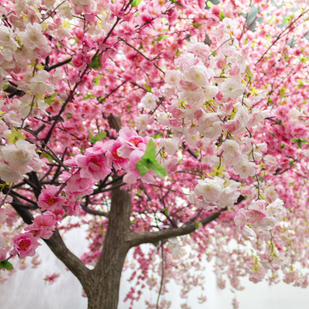 310разб/225(з.) Сакура искусственная разборная h310см, d400см, розовая_1