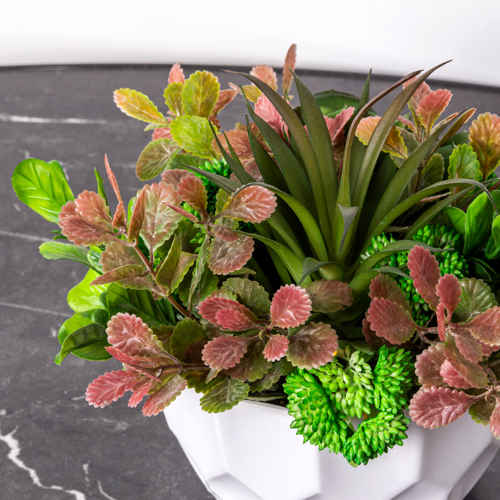 СКК06 Композиция из суккулентов h16см в интерьерном кашпо(зеленая)_2