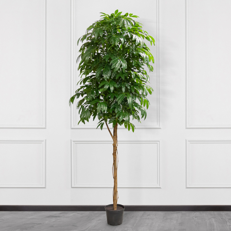 260/РН/220(з) Манго искусственное без плодов h260см (латекс)_3