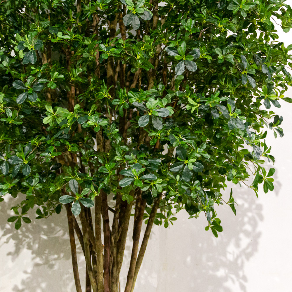 340/РН/84-2(з)(Пр)(F) Шеффлера искусственная с подкустником h340см,латекс_1