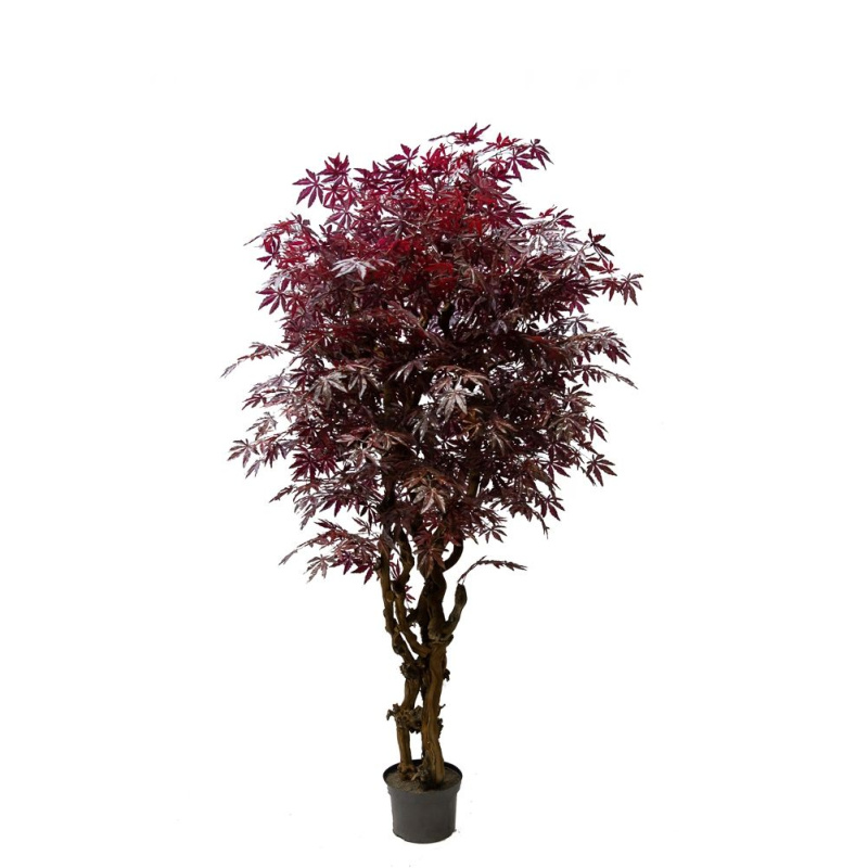 250/ОС/400 Клен японский h250см (латекс)