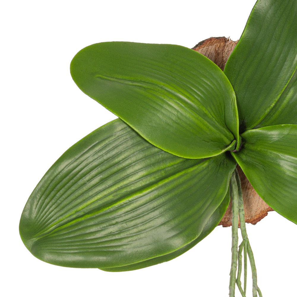 БК140/15 Композиция на березовом спиле d5-10см_1