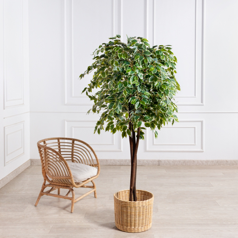 180/РПК/17(Пр)(F) Фикус Бенджамина искусственный h180см (латекс)