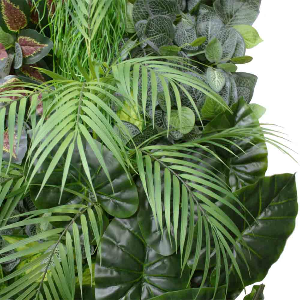 Фитостена 61_4