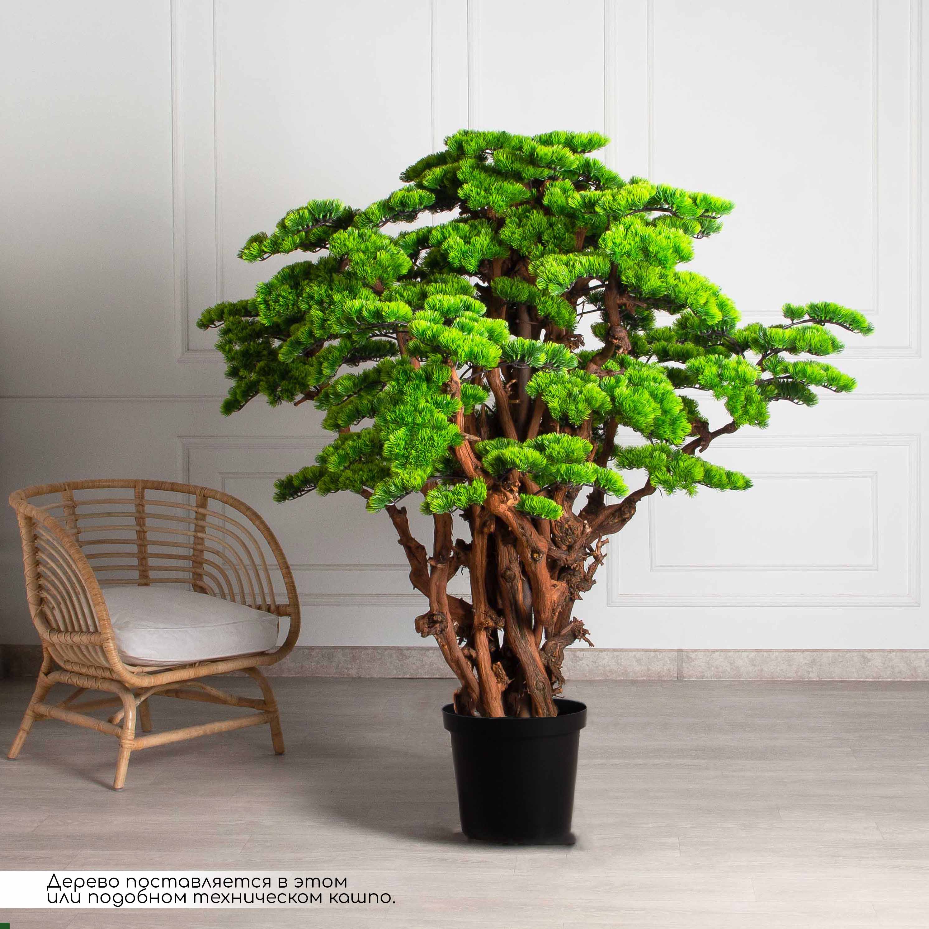 БС160/ОС/3000-1(Пр)(F) Бонсай искусственный Сосна h160см_3