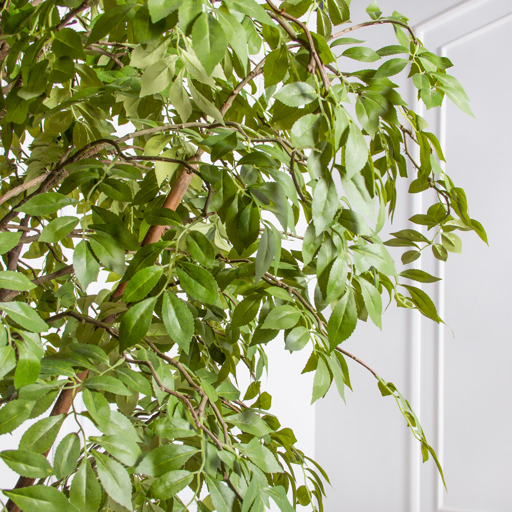 240/РН/605(Пр)(F) Мурайя искусственная  h240см_3