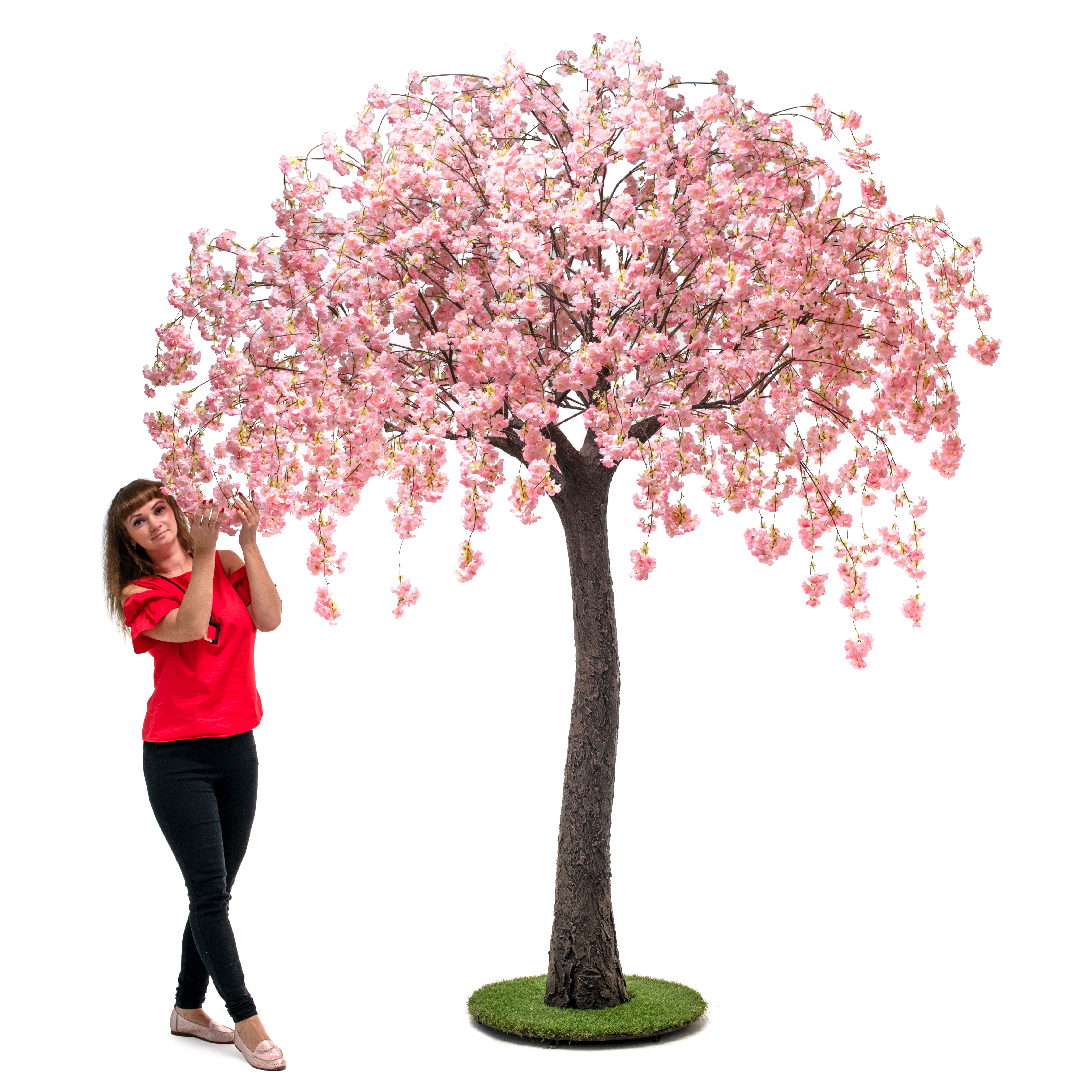 300разб/191 Сакура свисающая белая (шир.200см) h-300см_7