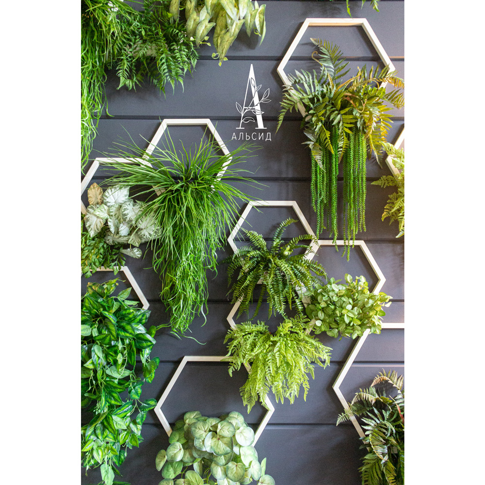 ФТС136-1(F) Фитостена с сотами 240х h350см_5